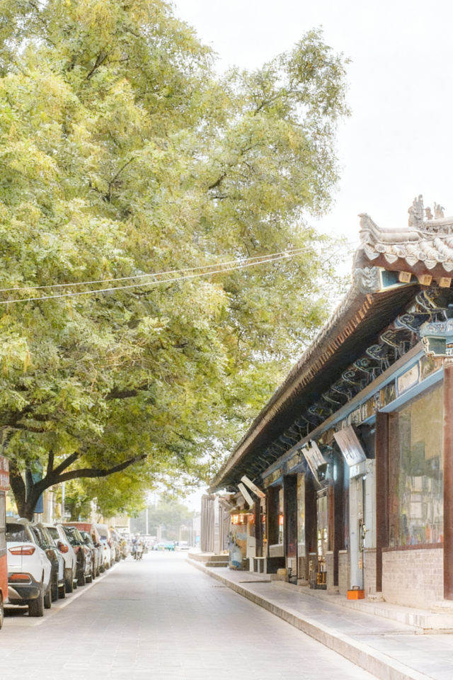 灞桥折柳、曲江流饮，这些路名藏着唐诗密码……