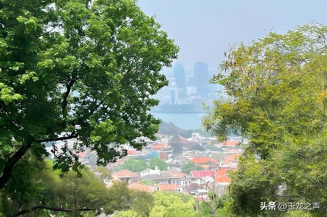 冬游鼓浪屿感怀