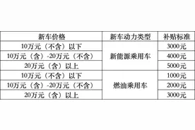 补贴先到先得！海口市发放2400万元购车大礼包图片