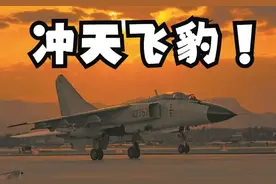 "揭秘冲天飞豹的巨大身躯！与歼-10并肩，惊叹当年南海霸主之威"图片