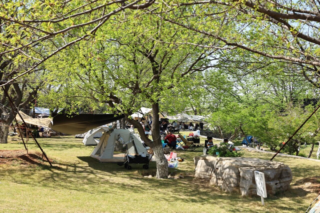 临沂春假旅行指南，请查收