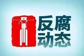 杨桦、王巨涛、刘坤敏、韩先锋、罗成祖被查，严俊生被“双开”图片
