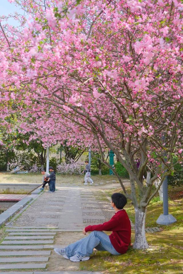 若你偏爱江南的温柔春色，就来常熟遇见美好