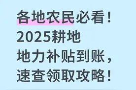 2025年耕地地力保护补贴开始领了，老乡们照着这个步骤来，准没错图片