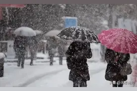 "冰雪降临！河南迎来史上最冷寒潮，局地气温或降至零下20度！"图片