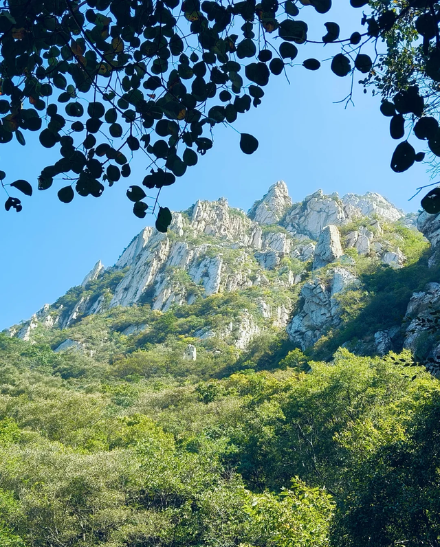 江苏没想到，山东也没想到，如今的中国河南，已成为全国焦点