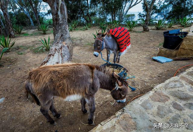 摩洛哥环游记（25）——赫拉克勒斯之洞与斯帕特尔角
