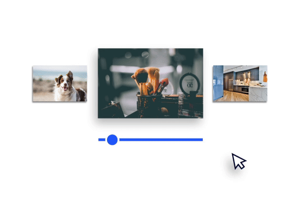 如何制作宠物美容店网站，宠物造型工作室网站搭建全攻略教程