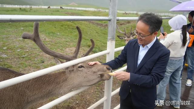 《跟着课本去旅行》走进肃南 探寻祁连山深处的生态与人文瑰宝