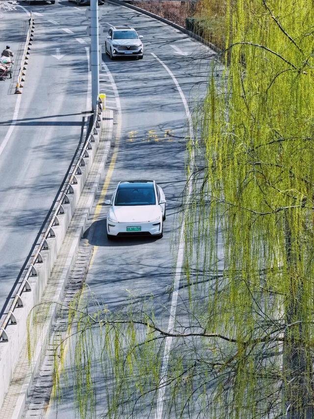 【文明旅游】太原，繁花似锦！