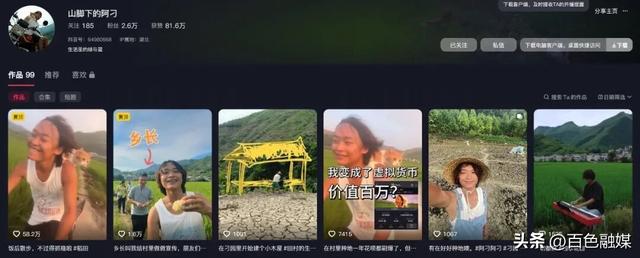 “背猫骑行田野”视频推特浏览量超2000万次 百色乡村“治愈风”吹到了海外