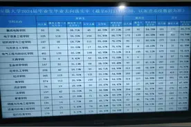 安徽大学2024届就业情况：集成电路学院领跑，文科就业率不足60%图片