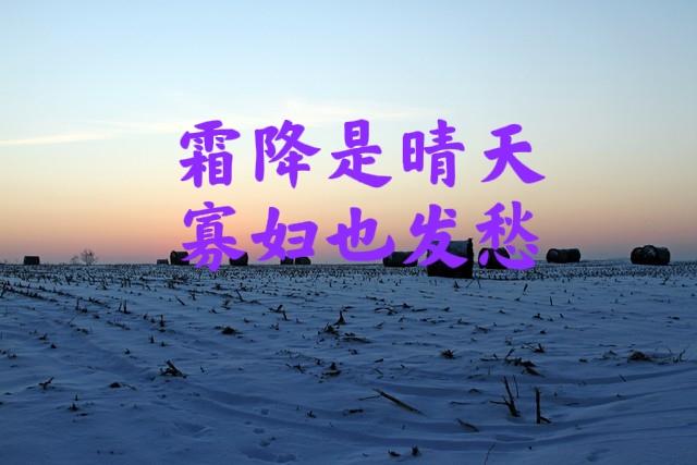 今日霜降，老话“霜降是晴天，寡妇也发愁”，霜降晴天有啥预兆？
