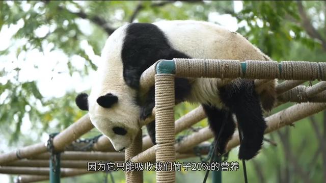 熊猫邮局“耍”出新花样!