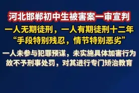 终于宣判！邯郸初中生杀人案，三个孩子为何走上犯罪深渊？图片