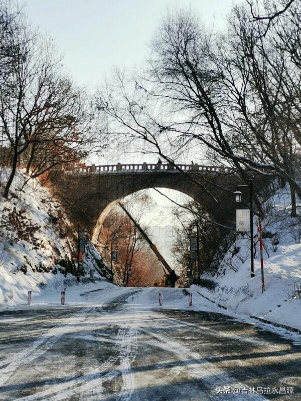 见过吗？吉林市北山公园罗锅桥下曾有一棵“挡道”的大树