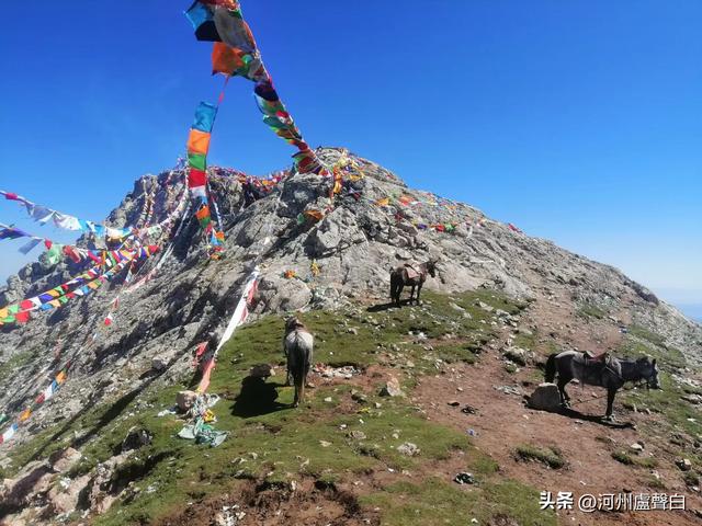 啊！太子山