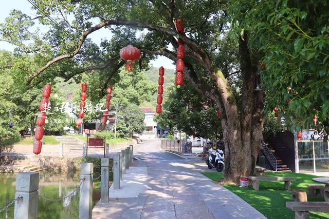 浙江宁波的幽静山村，因美女下凡洗澡而得名，湖光山色美不胜收