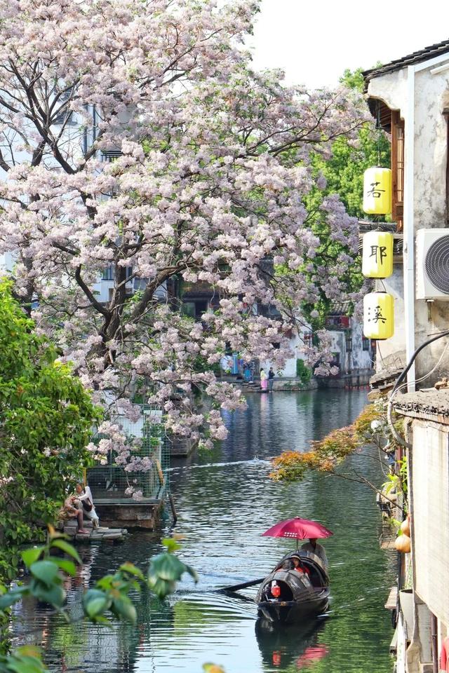 假期不是用来完成KPI的，它最大的意义就是允许你“无所事事”