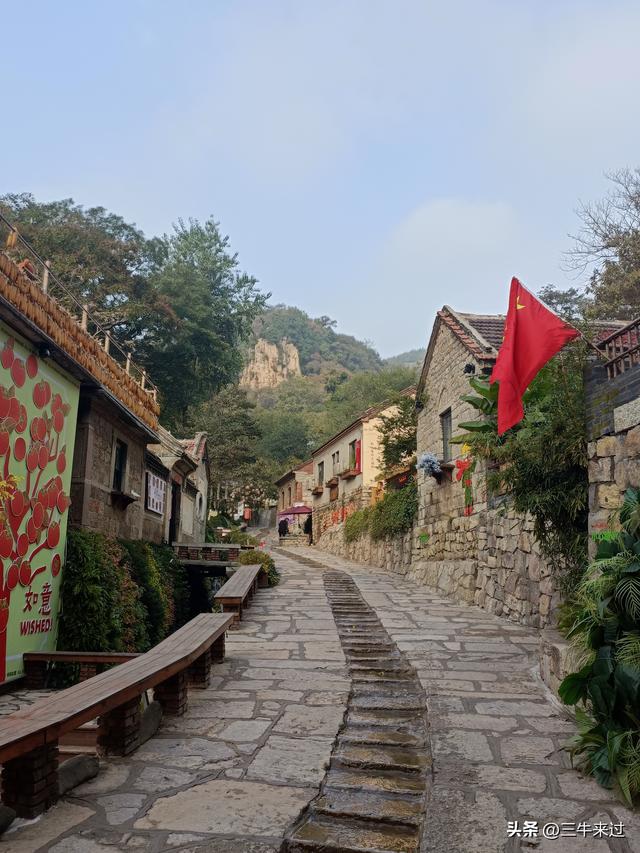 无为在歧路，柿岩之红叶