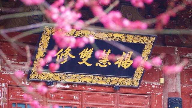 错峰游商州，人少景美价更低！“五一”后出发，性价比直接拉满！
