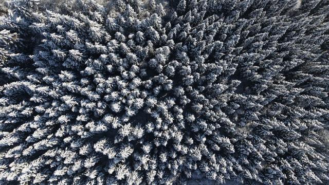 湖北恩施：雪后初霁 鄂西林海换银装