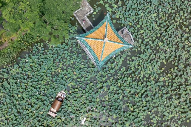 湾区人气乐队空降献唱！今天就去这些地方约会吧~