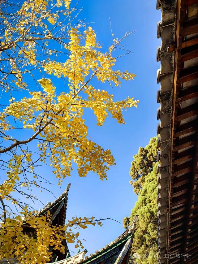 一年中最后一场华丽的秋色，鹤庆泸沽湖休闲5天游！11月底出发
