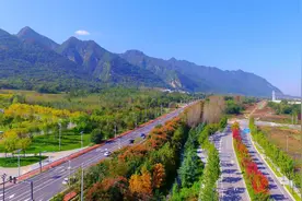 走起！沿S107，打卡秦岭秋日美景～图片