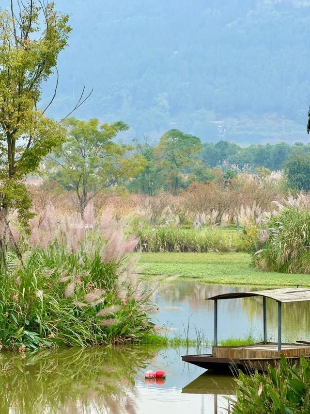 省级旅游度假区+2！每个都写满了松弛感