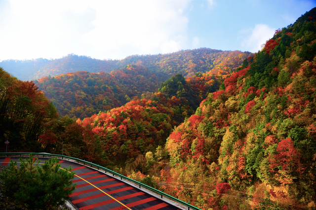 黄柏塬原生态风景区2025年冬季闭园公告