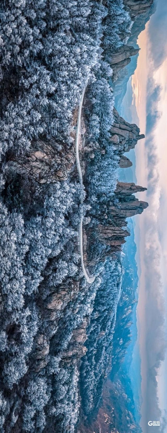 崂山迎来雾凇：石与松的素色禅意