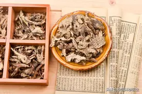 中医临床用药心得：升麻引气上行，柴胡引邪外散，葛根引药入颈图片