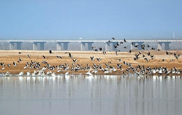 2025年12月第一周 渭南文化旅游资讯微报（组图）