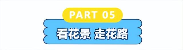 开学季漫游呼和浩特，每一站都不落俗套！