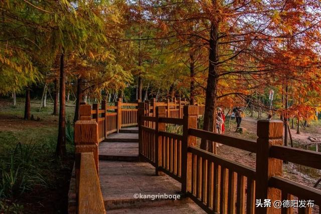 最新实拍！德阳东湖山都美成啥样了啊？太夸张了