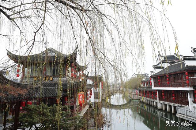 春天还会远吗？上海街头垂柳枝头已长出嫩