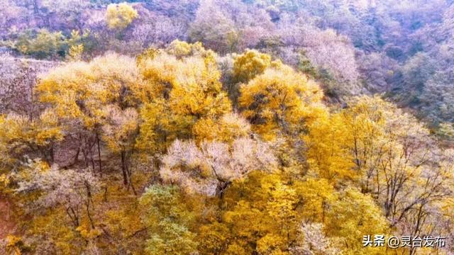 把灵台秋韵的山水诗意 都藏进这个秋天里