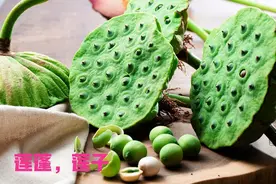 一个大家都想问的问题！荷花的种子为何叫莲子？图片