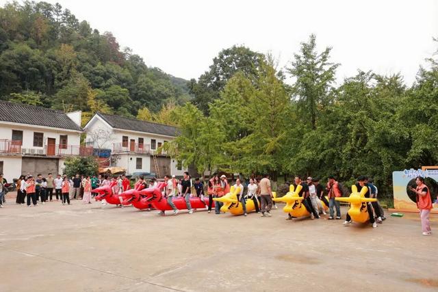 300人银杏下相约！韶关这场“交友局”真甜