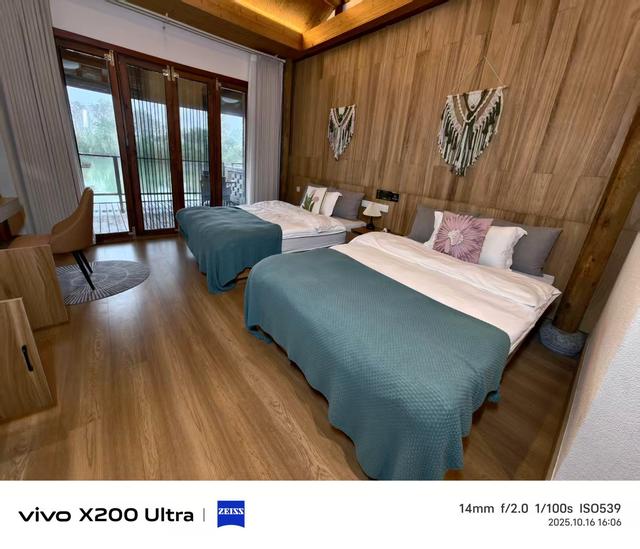 合肥蜀山区：雨中粉黛花、小岭南文化赋美、科大硅谷