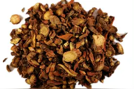 活血化瘀药-丹参图片