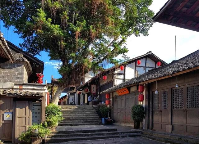 这条诗酒田园线路里藏着遵义的冬日浪漫