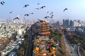 诗不可说丨崔颢《黄鹤楼》诗详解，白云蔽黄鹤，绿树藏鹦鹉图片