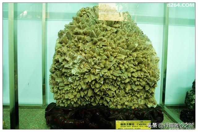山东行游影记（31）—平邑天宇自然博物馆（六）