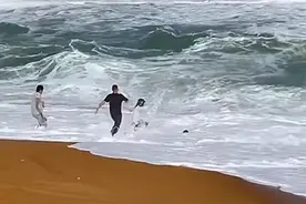 视频疯传！网友：哥太帅了图片