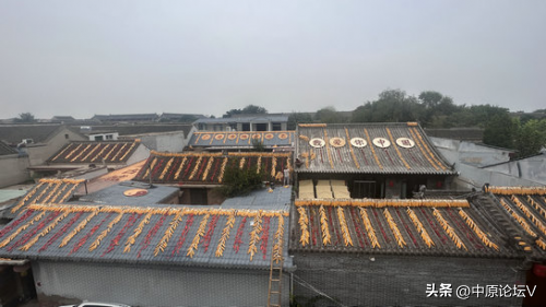 河北省广府古城：文旅焕新升级迎双节 领衔开启假日盛宴