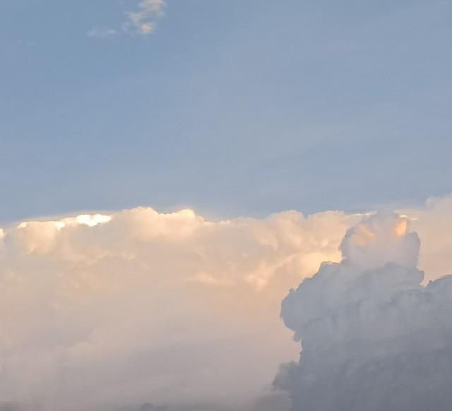 白羊座警惕！2026年，你最信任的“身边人”可能藏着危机？