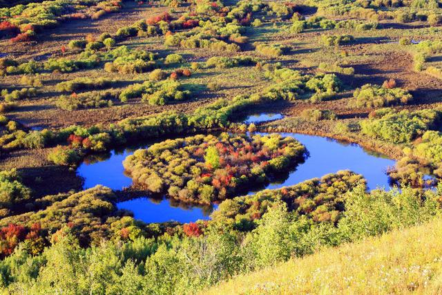 甩开人山人海！这些秋景才是真“顶流”，一眼封神不瞎说！