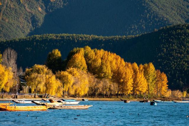 11月-12月，适合深秋自驾的8个地方，沿路都是好风景